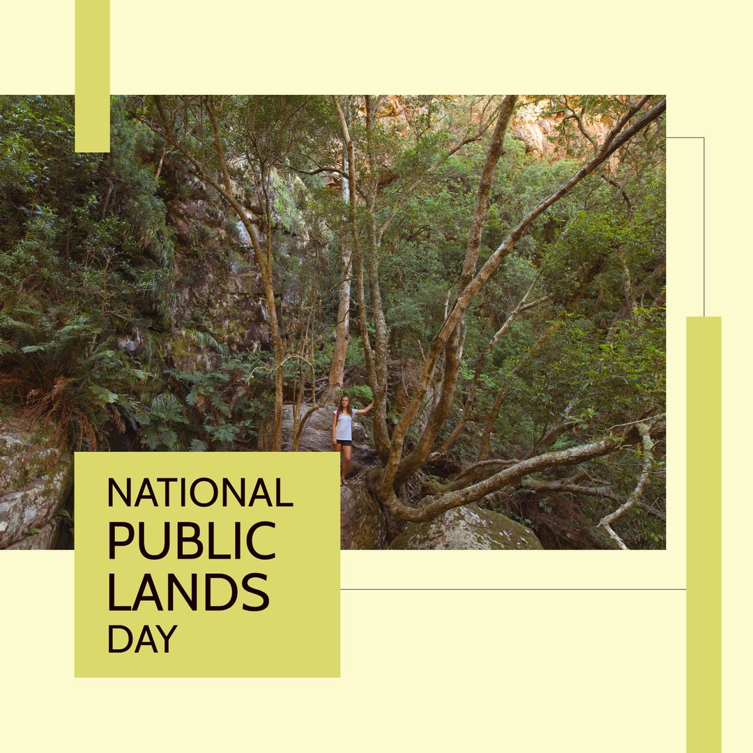 Celebrating National Public Lands Day in Scenic Forest