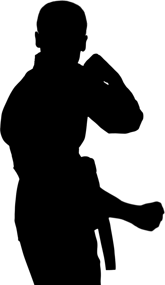 Silhouette of Karate Fighter in Dynamic Pose on Transparent Background