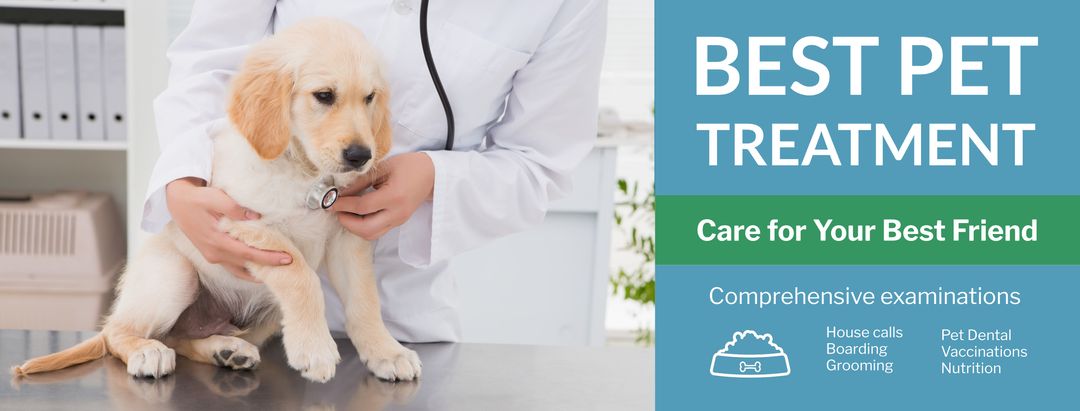 Playful Puppy Receiving Veterinary Check-Up for Health Awareness