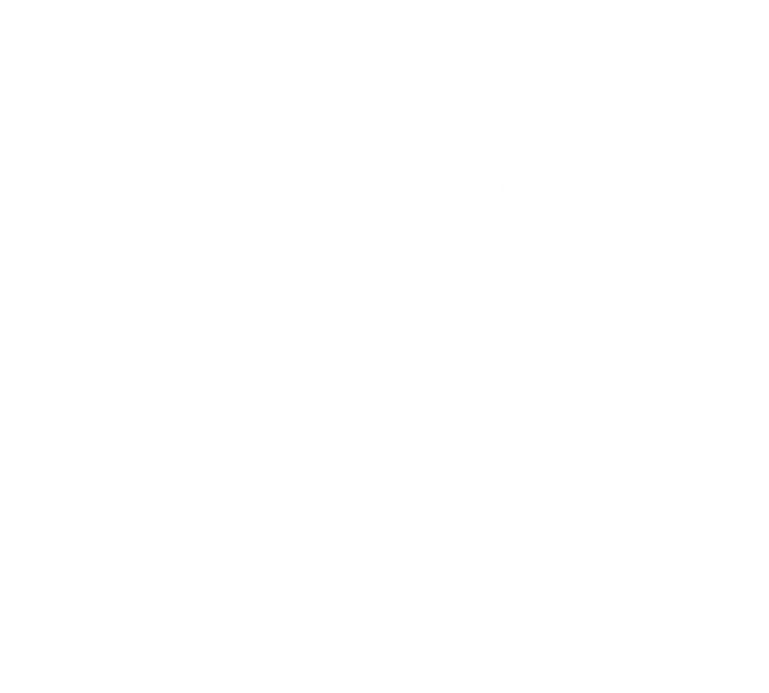 Silhouette of Man Lifting Barbell on Transparent Background - Download Free Stock Images Pikwizard.com