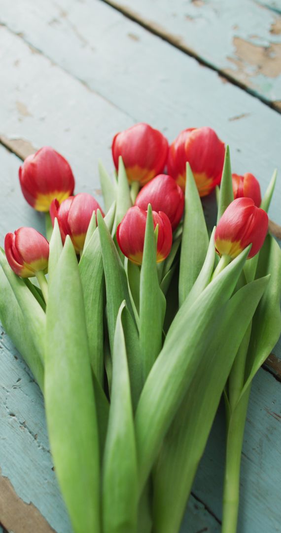 Red Tulips Bouquet on Distressed Wooden Surface