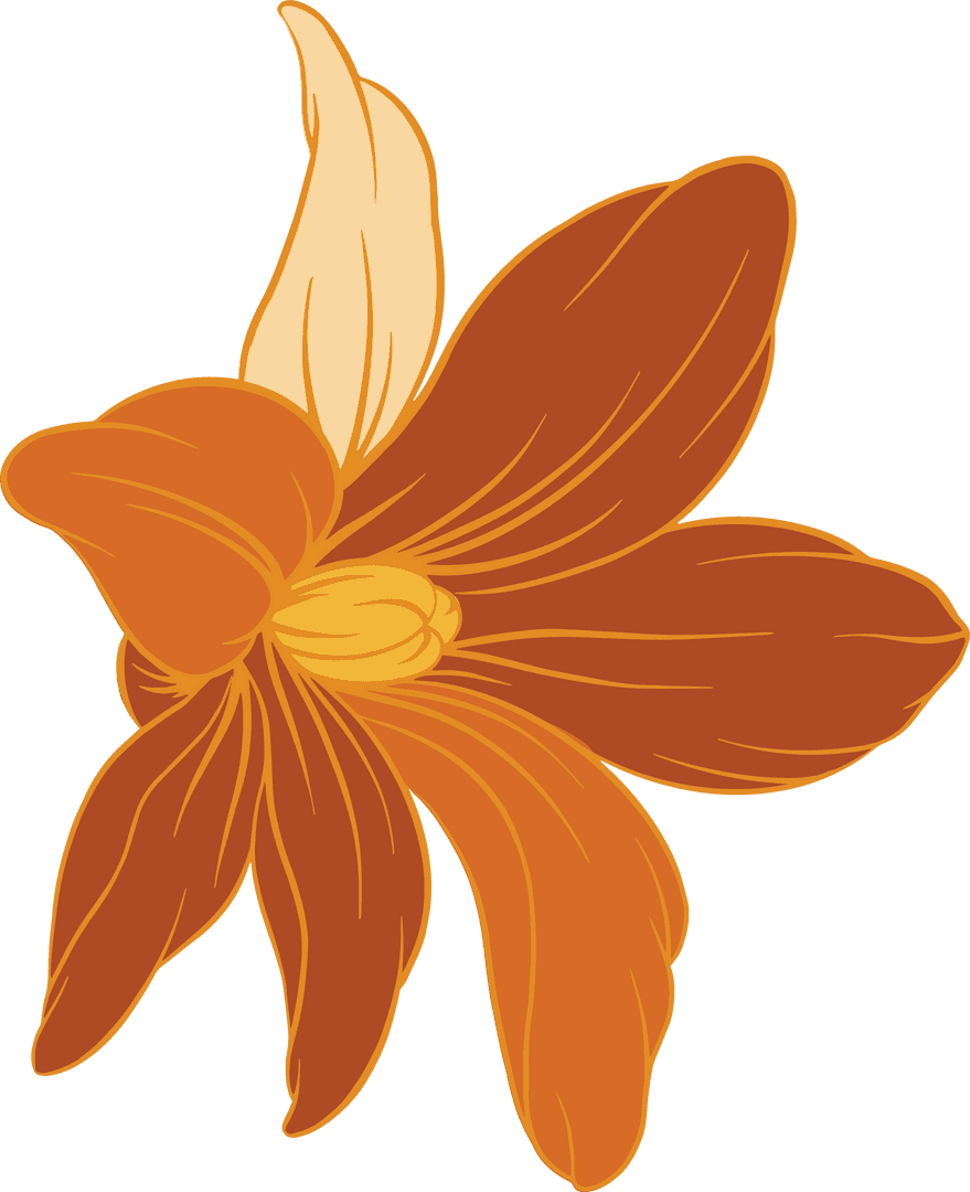 Stylized Orange Flower Transparent Art Vector Illustration