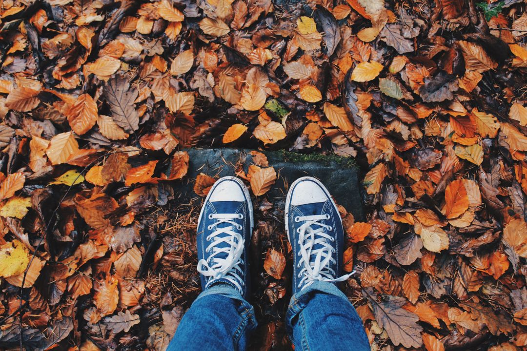 Person Wearing Sneakers Standing on Autumn Leaves - Free Images, Stock Photos and Pictures on Pikwizard.com