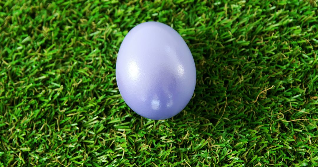 Purple Easter Egg on Green Grass - Free Images, Stock Photos and Pictures on Pikwizard.com