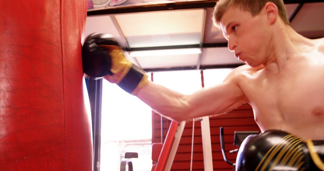 Young Male Boxer Training with Punching Bag at Gym - Free Images, Stock Photos and Pictures on Pikwizard.com