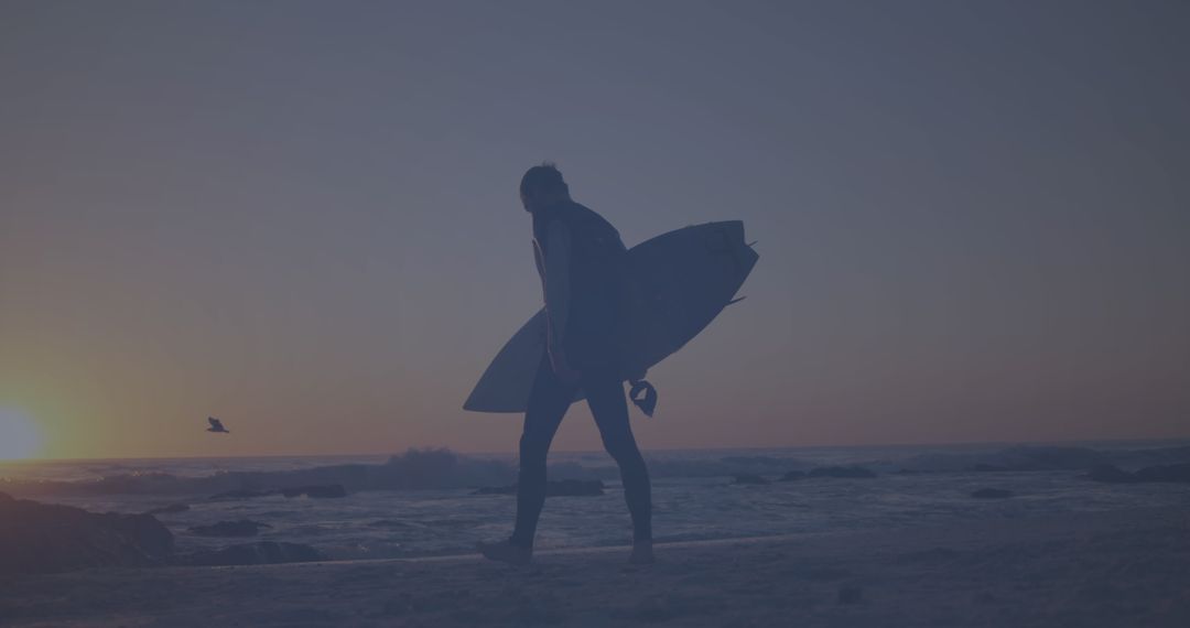 Surfer Walking along Beach at Sunset with Surfboard