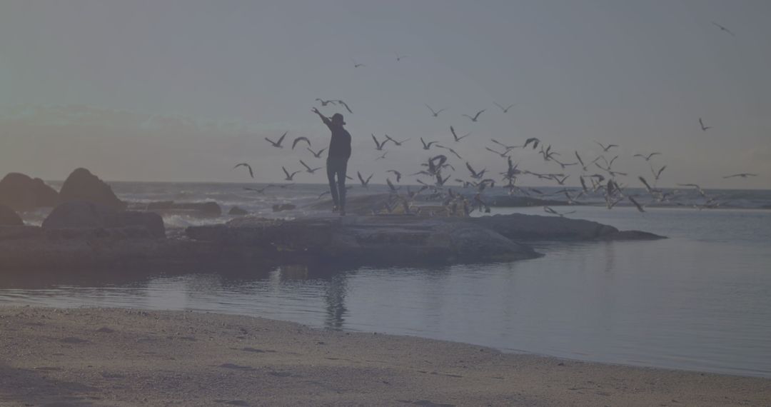 Silhouette of Person Surrounded by Birds on Seaside Rocks