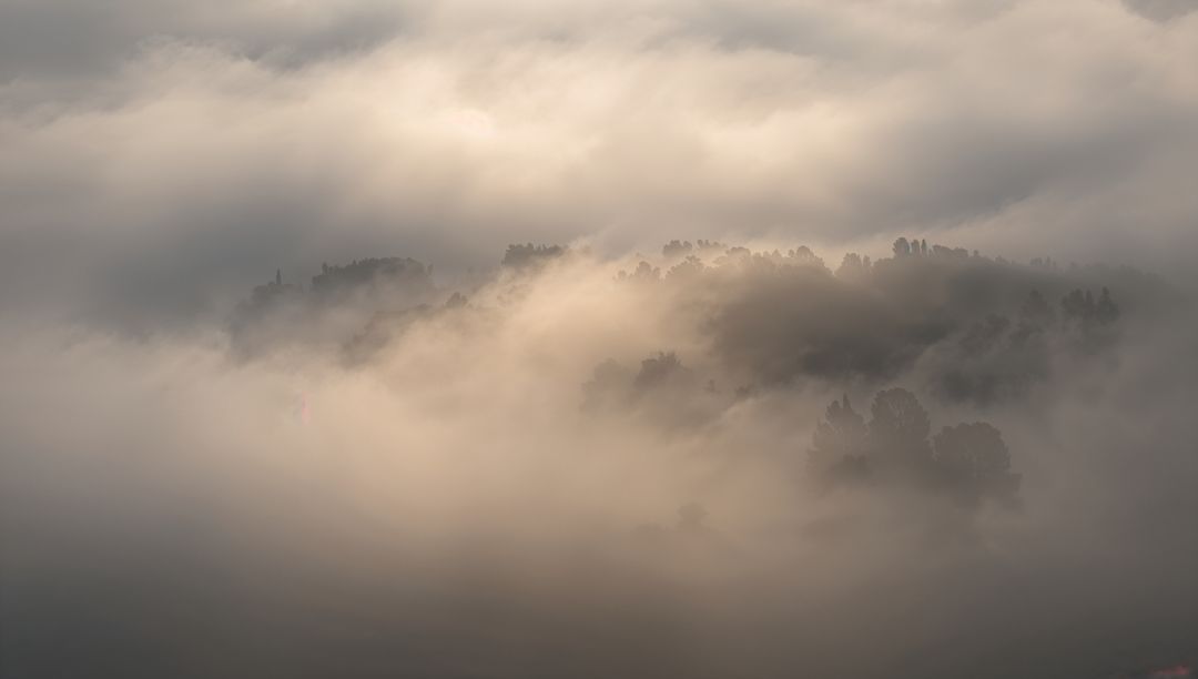 Misty Ridge Revealing Treetops Through Golden Dawn Fog on Rural Hillside