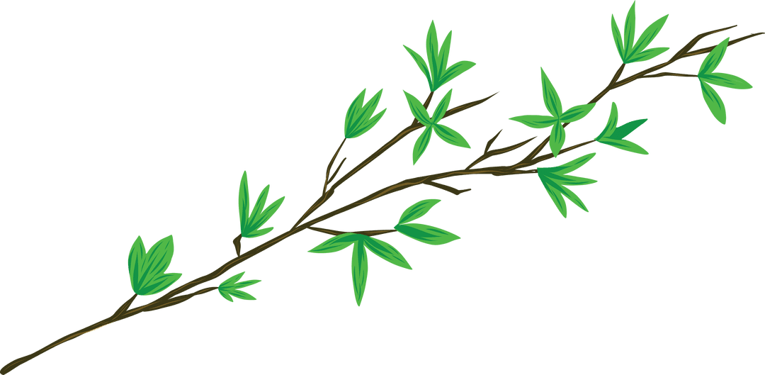 Transparent Digital Illustration of Twig with Green Leaves