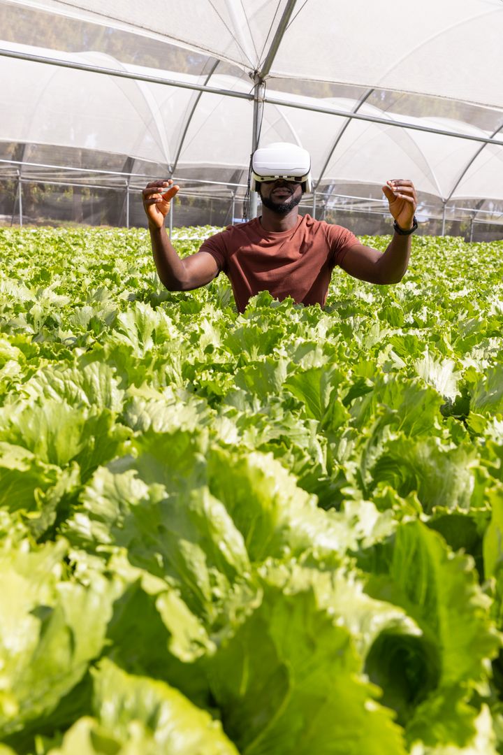 Man Using VR Technology in Indoor Lettuce Farm Innovating Agriculture