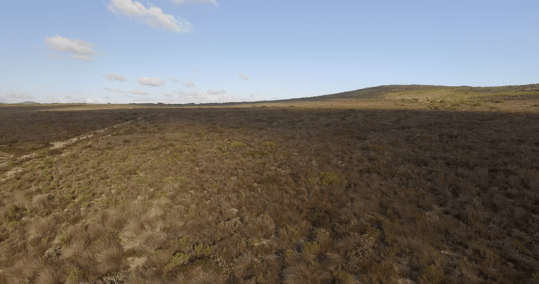Transparent Sky Over Remote Wild Landscape