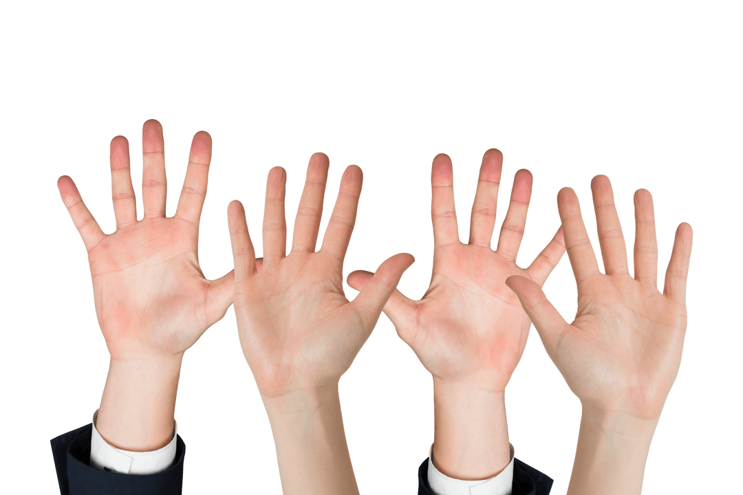 Four Caucasian Open Hands on Transparent Background