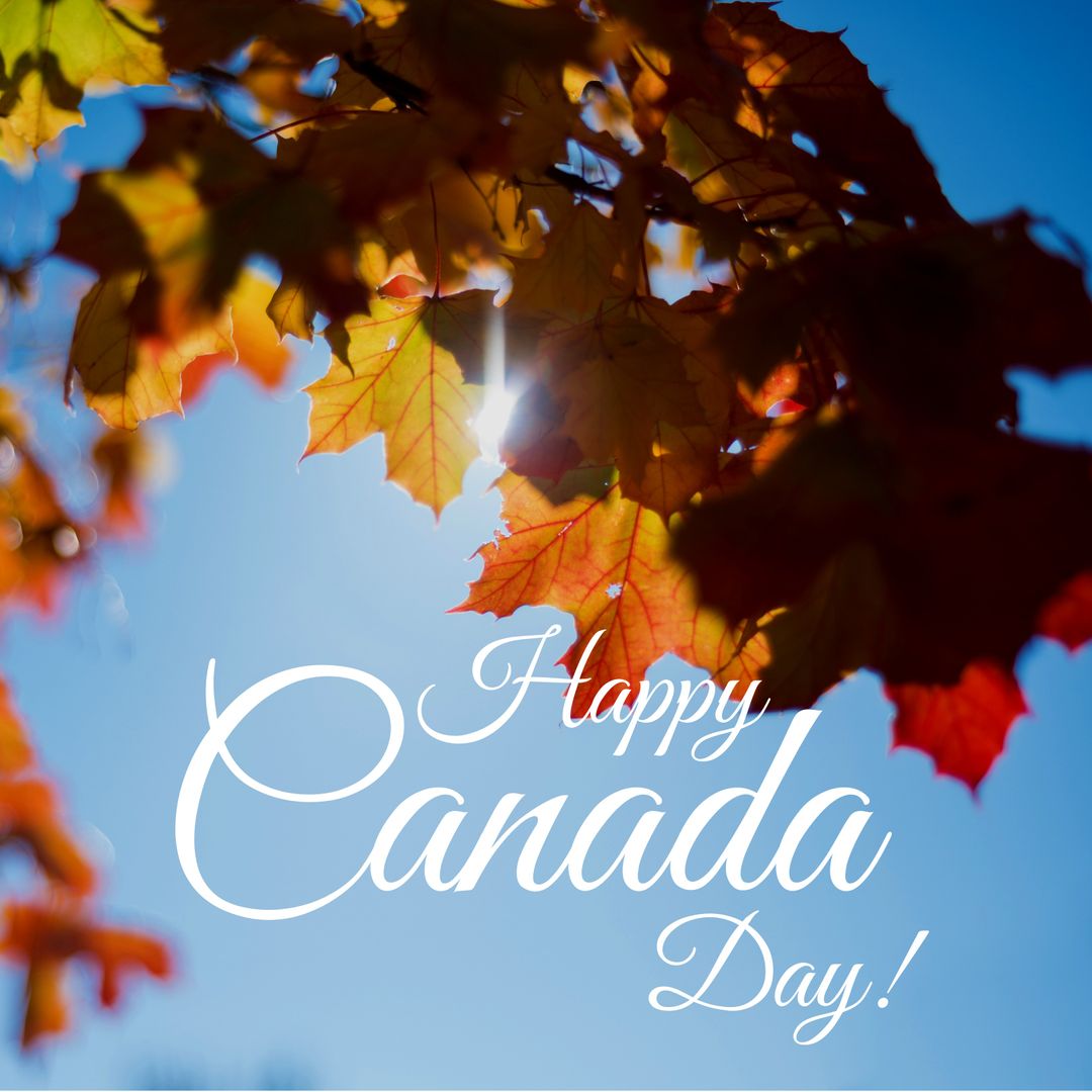 Happy Canada Day with Sunlight and Autumn Leaves