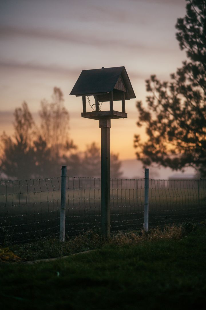 Birdhouse Standing Against Foggy Sunrise in Rural Landscape - Free Images, Stock Photos and Pictures on Pikwizard.com