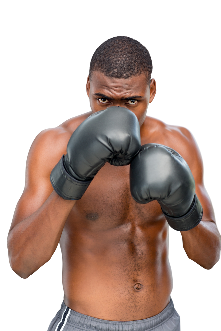 African American Boxer with Boxing Gloves Looking on Transparent Background - Download Free Stock Images Pikwizard.com