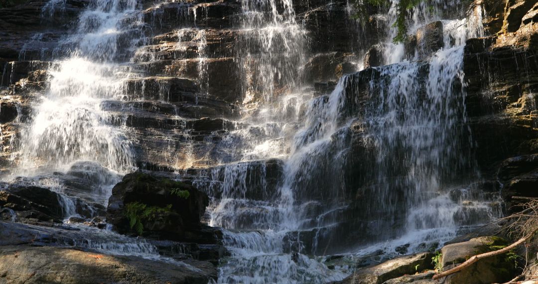 Water Flowing Down Rocky Cascade in Lush Forest - Free Images, Stock Photos and Pictures on Pikwizard.com