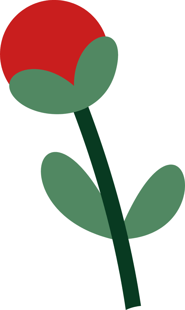 Red Flower Bud Illustration with Transparent Background