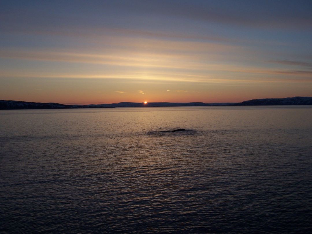 Serene Sunset Over Calm Wide Lake with Distant Hills - Free Images, Stock Photos and Pictures on Pikwizard.com