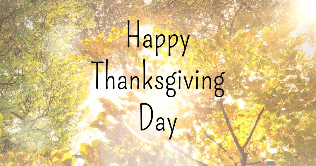 Sunny Thanksgiving Day Message in Autumn Forest