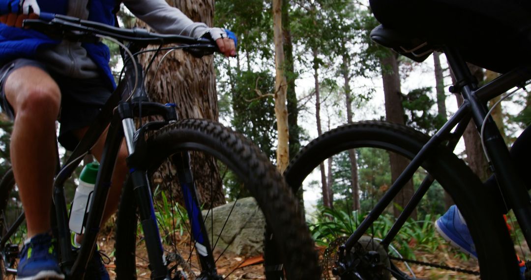 Cyclists riding mountain bikes in forest - Free Images, Stock Photos and Pictures on Pikwizard.com