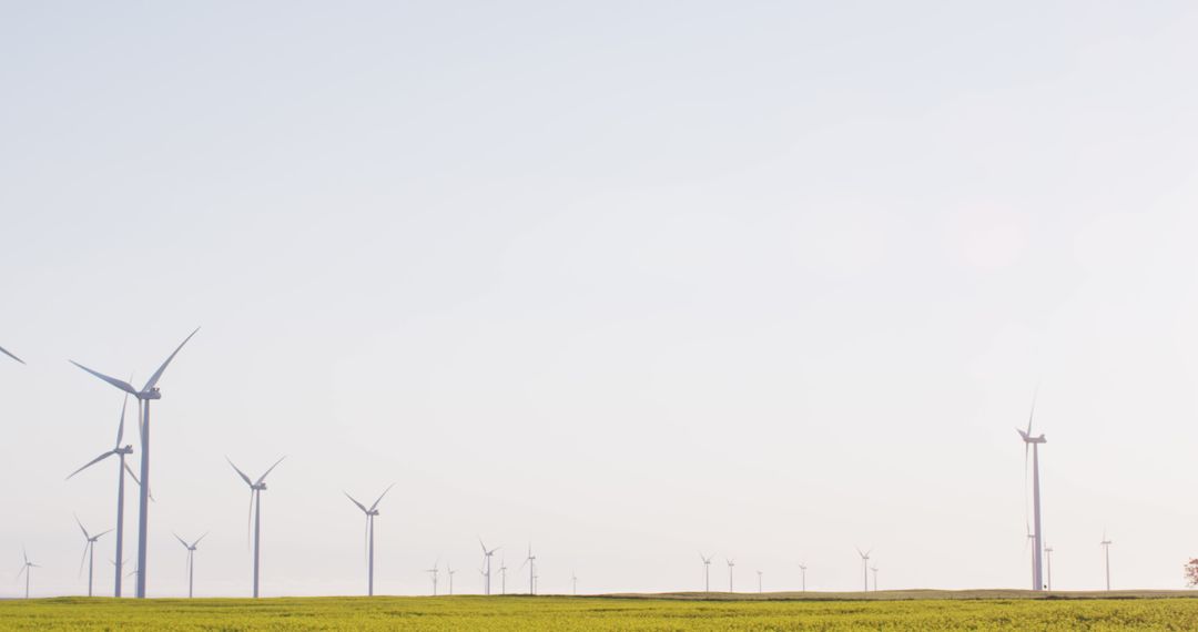 Expansive Wind Turbine Farm in Countryside Under Clear Sky - Free Images, Stock Photos and Pictures on Pikwizard.com