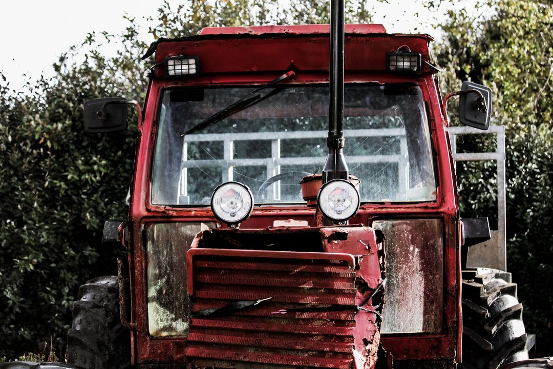 Front View of Old Red Tractor in Field