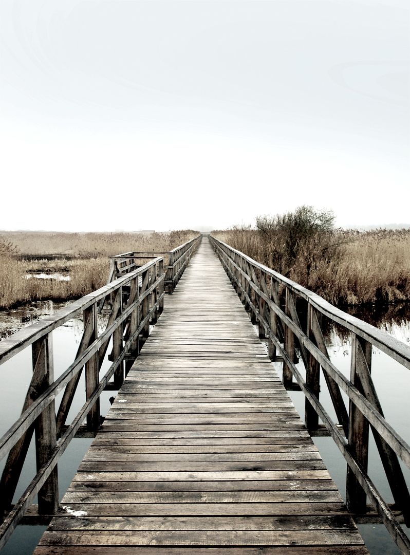 Long Wooden Boardwalk Extending Over Wetlands on Cloudy Day - Free Images, Stock Photos and Pictures on Pikwizard.com