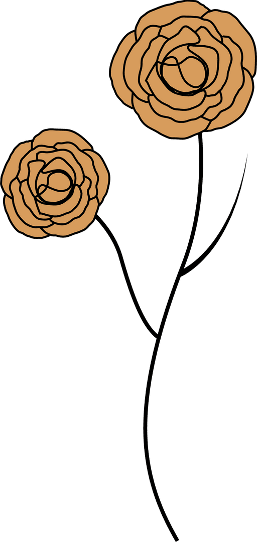 Minimalist Orange Flowers on Transparent Background