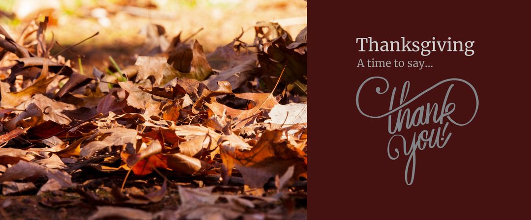 Autumn Leaves with Thanksgiving Message Encouraging Gratitude