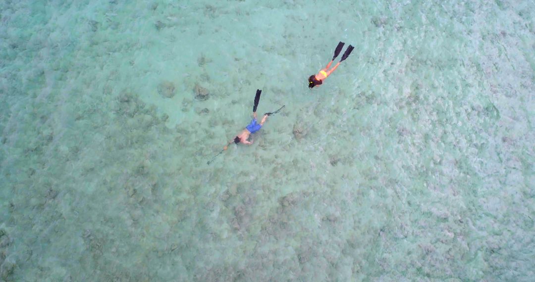 Aerial View of Two Snorkelers Exploring Turquoise Ocean Water - Free Images, Stock Photos and Pictures on Pikwizard.com