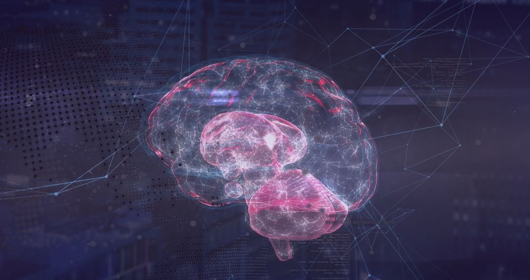 Holographic Brain with Neural Pathways in Digital Interface