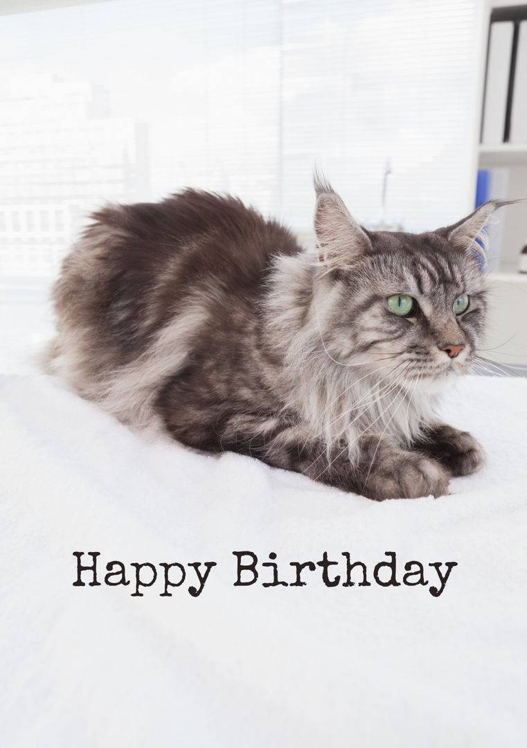 Majestic Cat Happy Birthday Greeting - Download Free Stock Templates Pikwizard.com