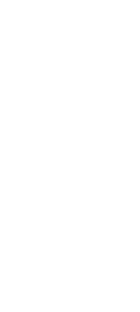 Transparent Silhouette of American Football Player Athlete - Download Free Stock Images Pikwizard.com