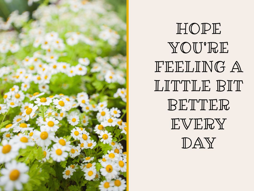 Inspirational Message with Daisies for Healing and Positivity
