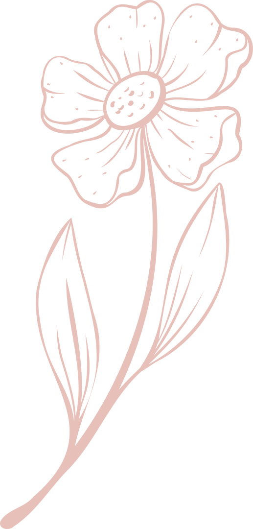 Elegant Lineart Flower Illustration on Transparent Background