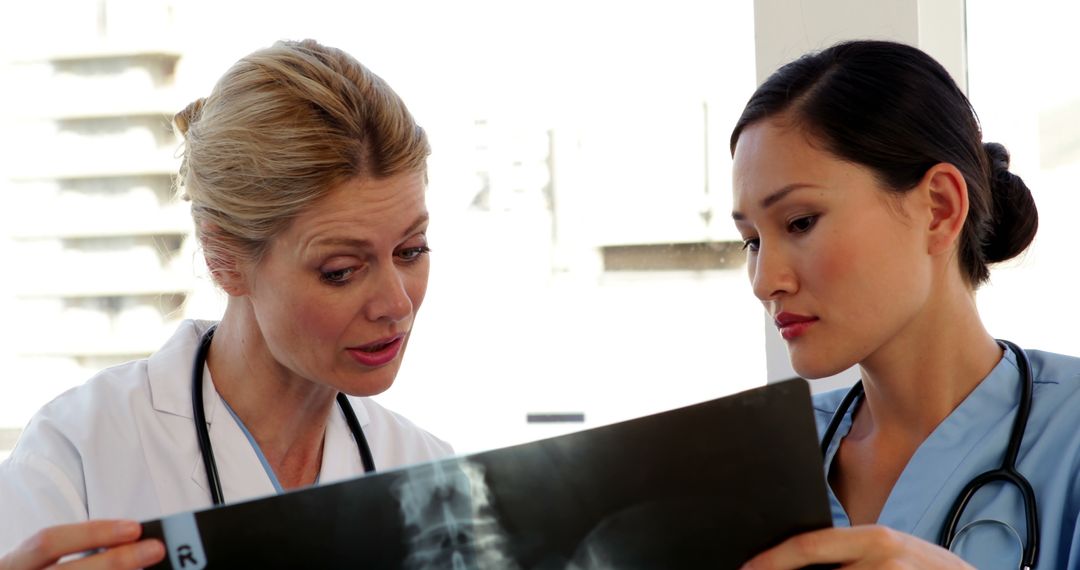 Two Female Doctors Analyzing X-Ray in Hospital - Free Images, Stock Photos and Pictures on Pikwizard.com