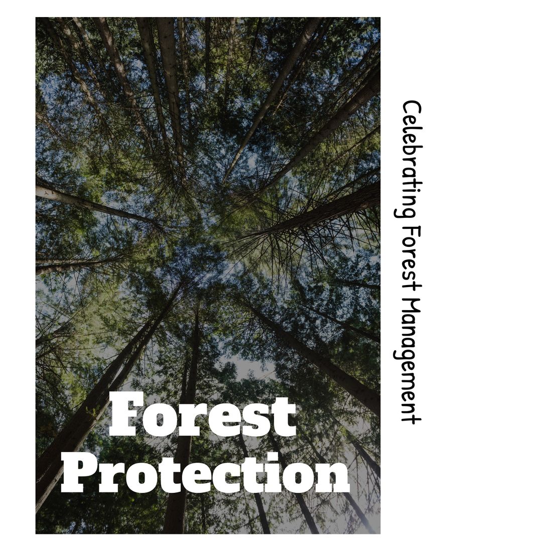 Celebrating Forest Management and Protection Awareness - Download Free Stock Templates Pikwizard.com