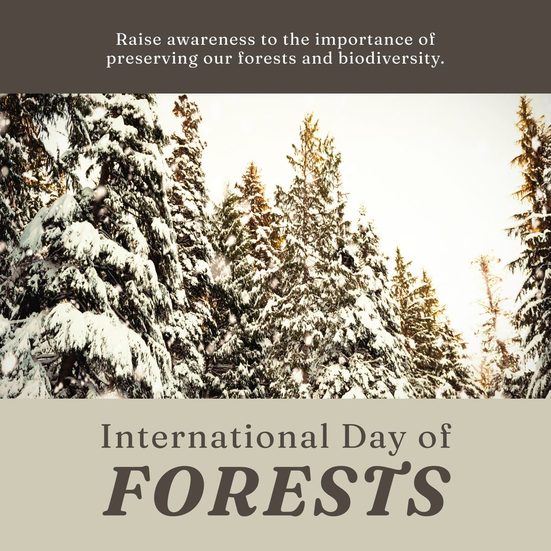 International Day of Forests Celebration with Snow-Covered Trees