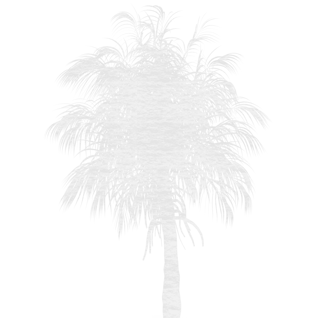 White Palm Tree Silhouette on Transparent Background
