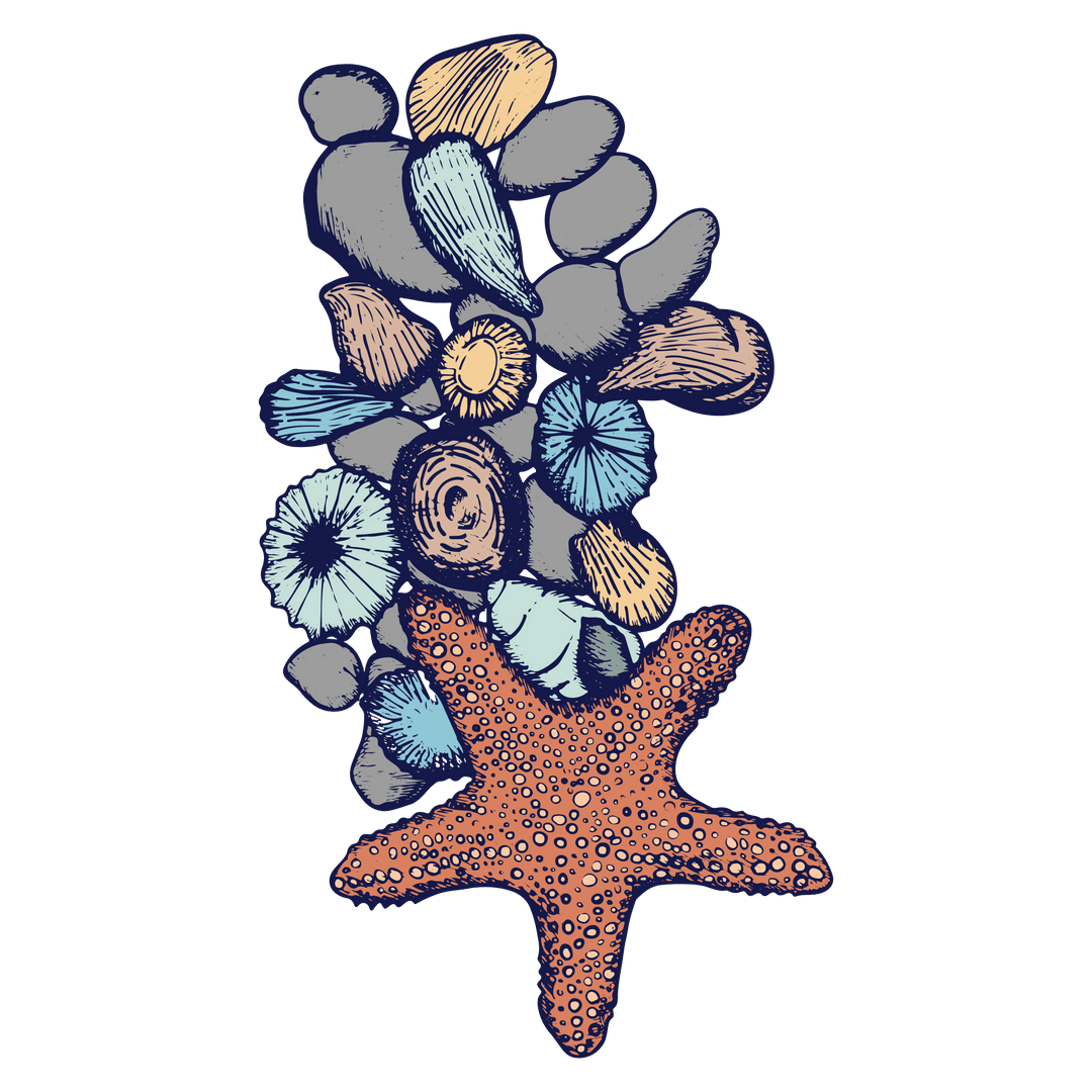 Transparent Beach Elements with Starfish and Seashells