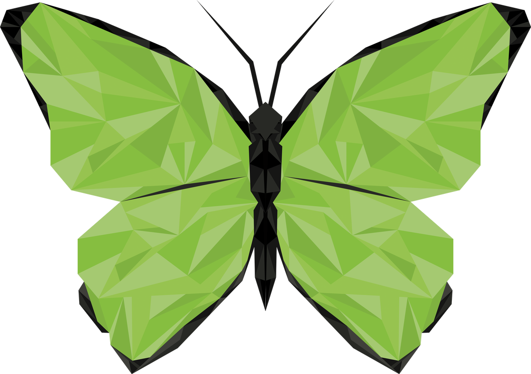 Green Butterfly Vector Illustration on Transparent Background - Download Free Stock Images Pikwizard.com