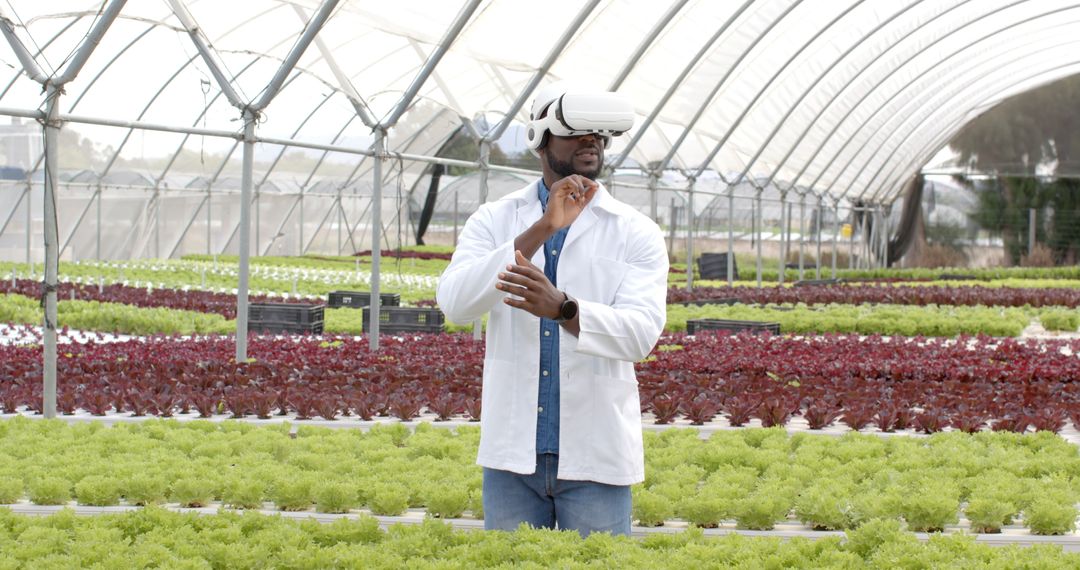 Innovative Farming with VR Headset in Hydroponic Greenhouse