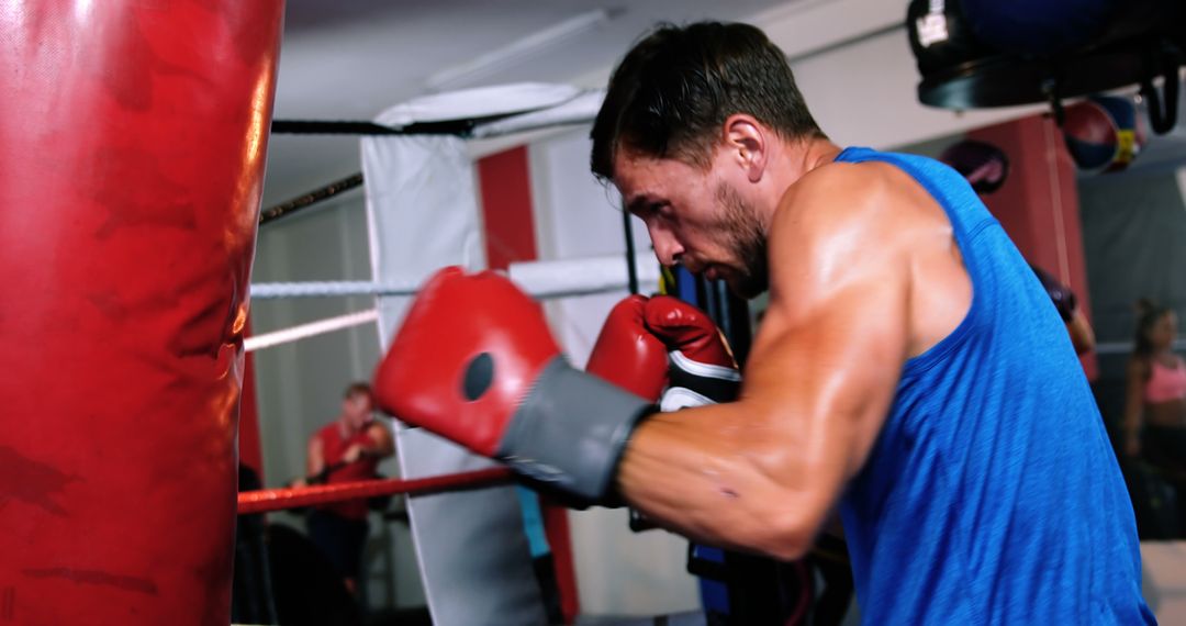 Male Boxer Training With Punching Bag in Gym - Free Images, Stock Photos and Pictures on Pikwizard.com