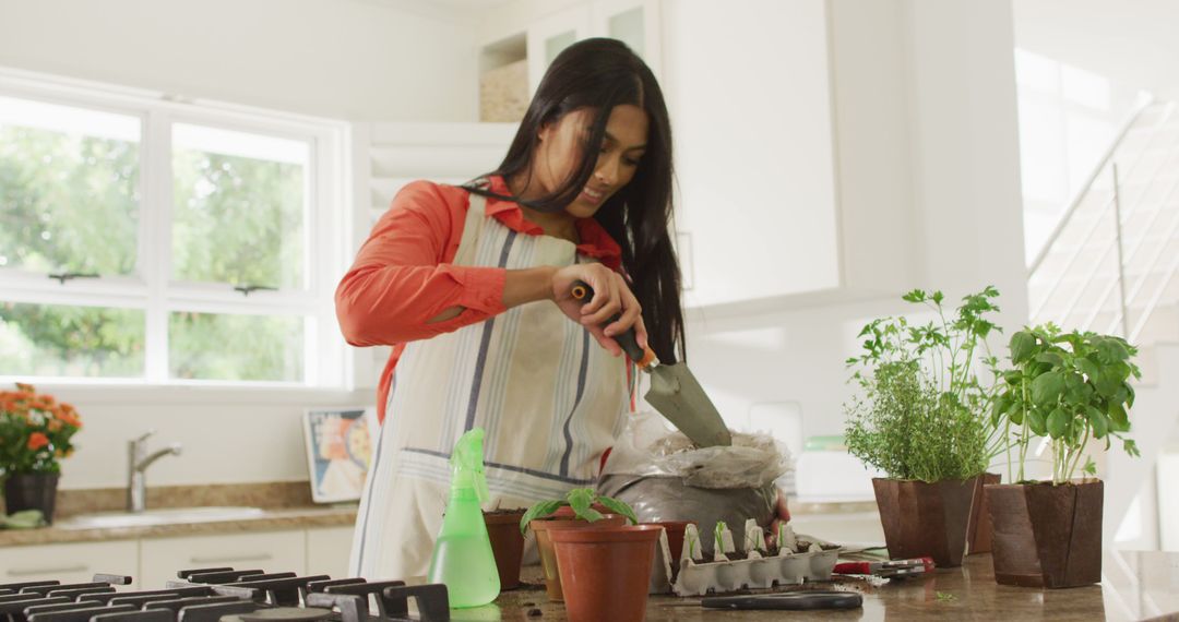 Image of happy biracial woman planting herbs at home - Free Images, Stock Photos and Pictures on Pikwizard.com