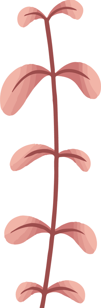 Stylized Botanical Branch with Pink Leaves on Transparent Background