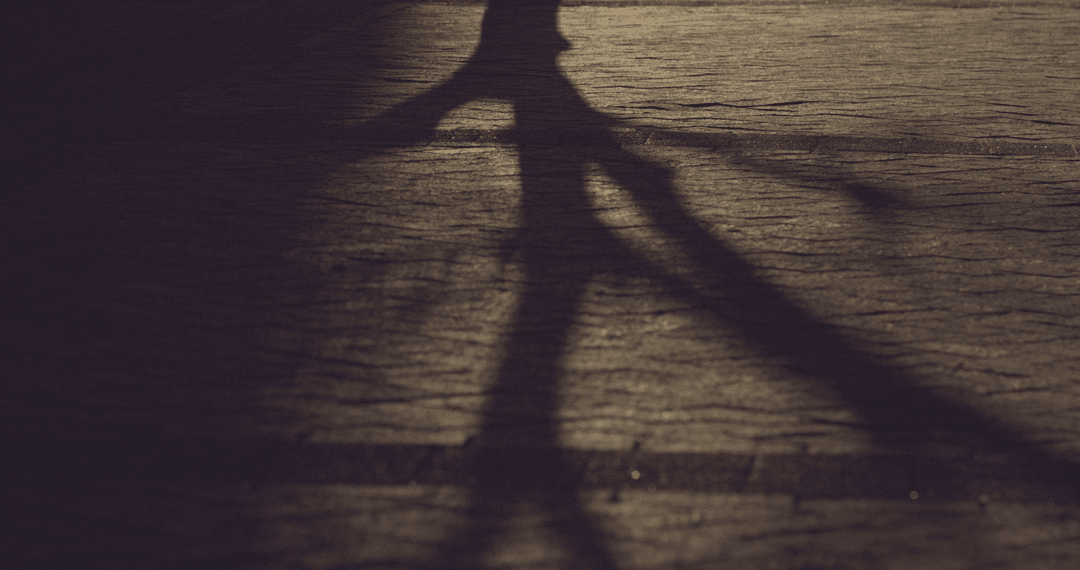 Transparent Shadows of Tree Branches on Street At Night