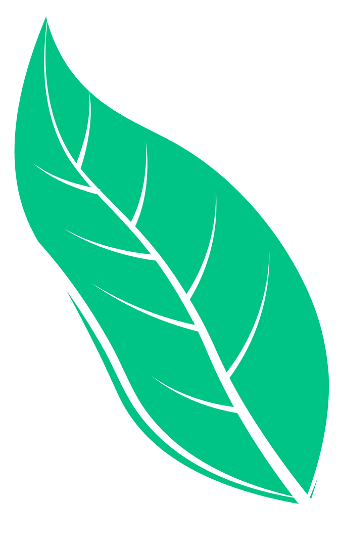 Green Leaf Design on Transparent Background