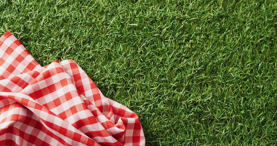 Red Checkered Picnic Blanket on Fresh Green Grass - Free Images, Stock Photos and Pictures on Pikwizard.com