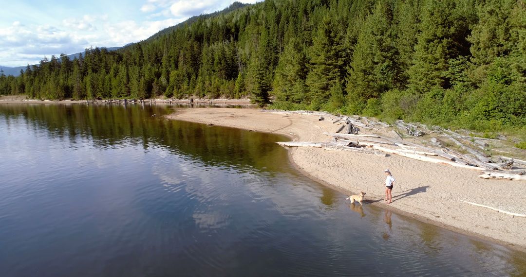 Man with Dog on Tranquil Lakeside Beach in Mountain Forest - Free Images, Stock Photos and Pictures on Pikwizard.com