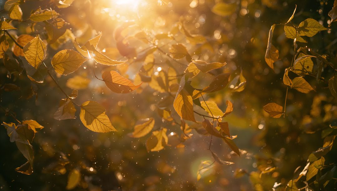 Glowing golden leaves shimmering on branches at sunset with sunbeams and floating motes